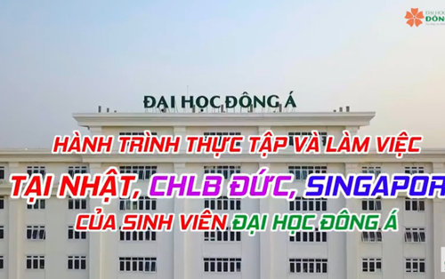 Hành trình Thực tập & Làm việc tại Nhật Bản, CHLB Đức, Singapore của Sinh viên Đại học Đông Á